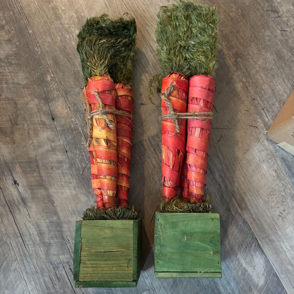 Set Of 2 QVC 17"H Spring Easter Carrot Topiary's Farmhouse Rustic Decor NEW